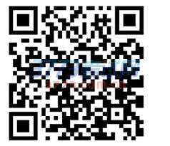 各个四六级查分入口