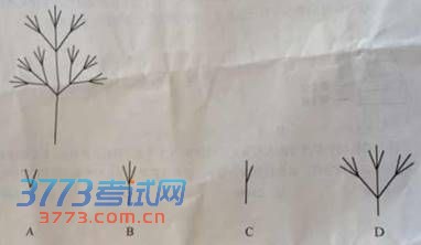 点击图片进入下一页