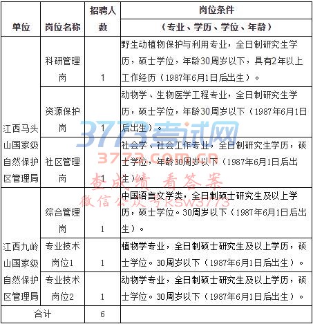 招聘岗位、人数及条件
