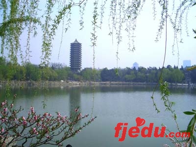 北京大学:未名湖畔好读书(图)