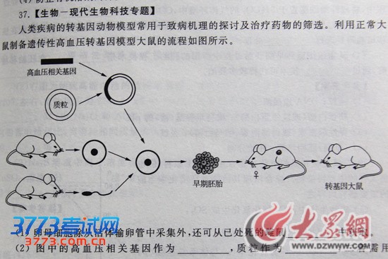 点击浏览下一张