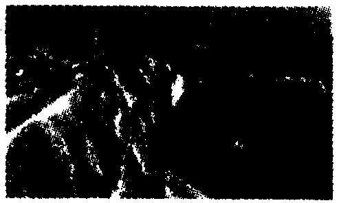 ʡ2013ҵڶӦԲ