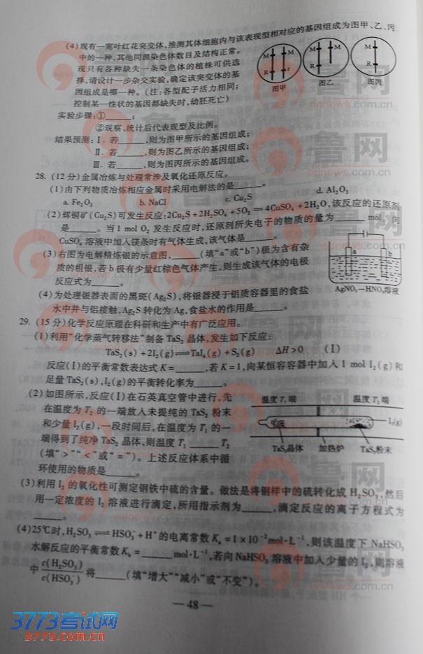 鿴һҳ