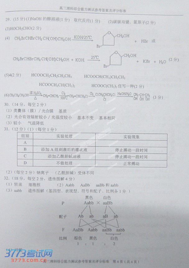 2014ݶģ⼰