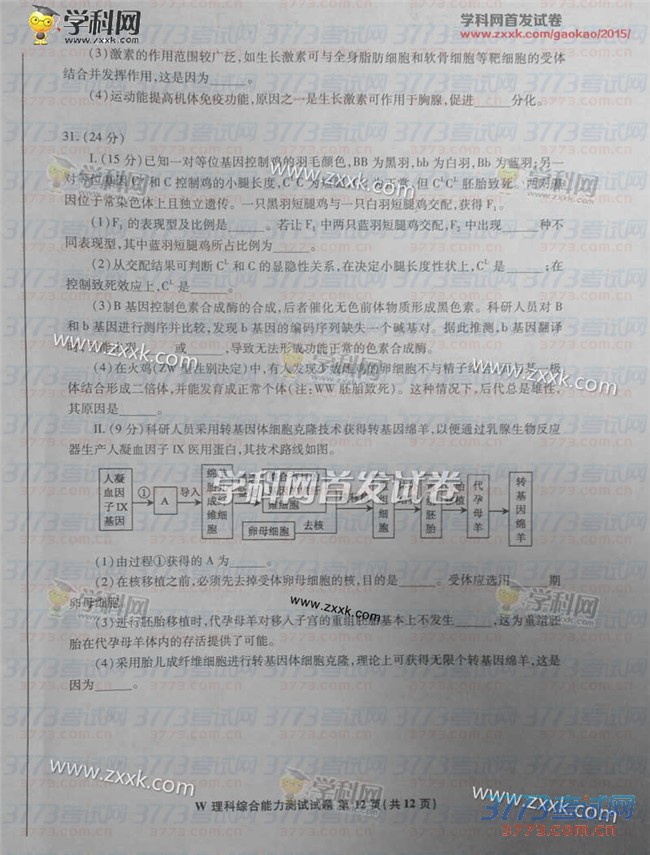 2015갲ۺϸ߿⼰𰸣ͼƬ