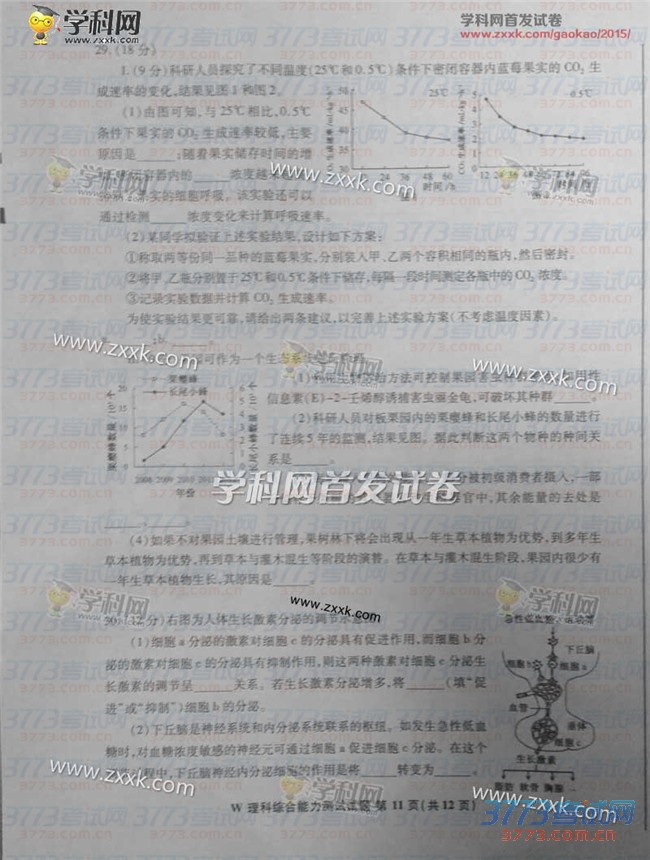 2015갲ۺϸ߿⼰𰸣ͼƬ