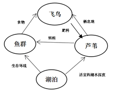 1475899668435717.png 2016年10月安徽省2017届高三阶段联考能力测试地理试题及答案