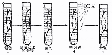 1480056929247748.png 太原市2016-2017学年第一学期高三期中阶段性测评生物试题及答案