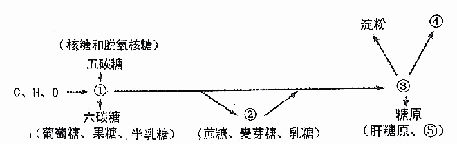 1480056912286486.png 太原市2016-2017学年第一学期高三期中阶段性测评生物试题及答案