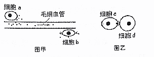 1480056923805717.png 太原市2016-2017学年第一学期高三期中阶段性测评生物试题及答案