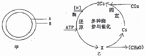 1480056934680432.png 太原市2016-2017学年第一学期高三期中阶段性测评生物试题及答案