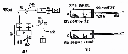 1480056934647955.png 太原市2016-2017学年第一学期高三期中阶段性测评生物试题及答案