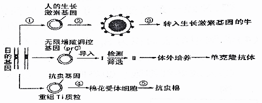 1480056940661299.png 太原市2016-2017学年第一学期高三期中阶段性测评生物试题及答案