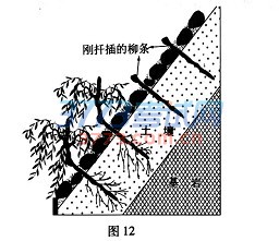 1489925525624484.jpg 厦门市质检文综试题及答案word厦门市2017届高中毕业班第一次质量检查文科综合