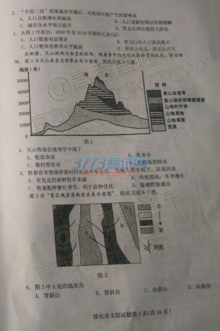 2017绯