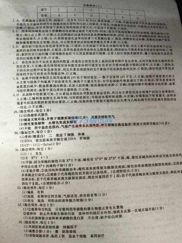 Ѻ۶