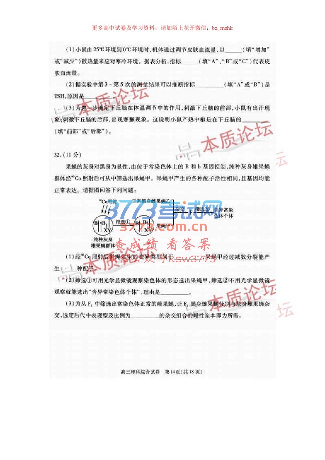人2017бҵģ⿼⼰.pdf