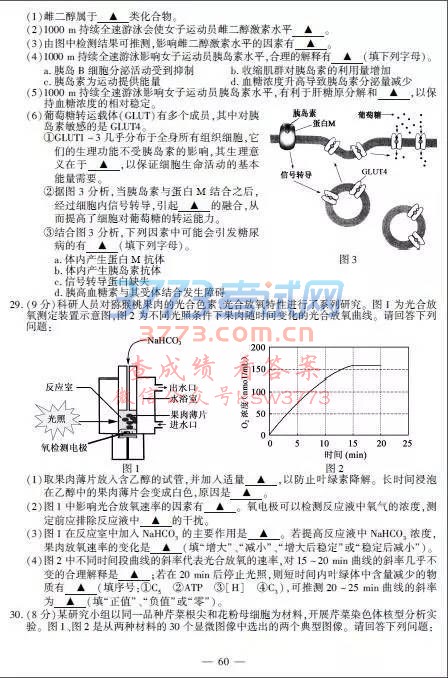 2017ո߿⼰𰸷