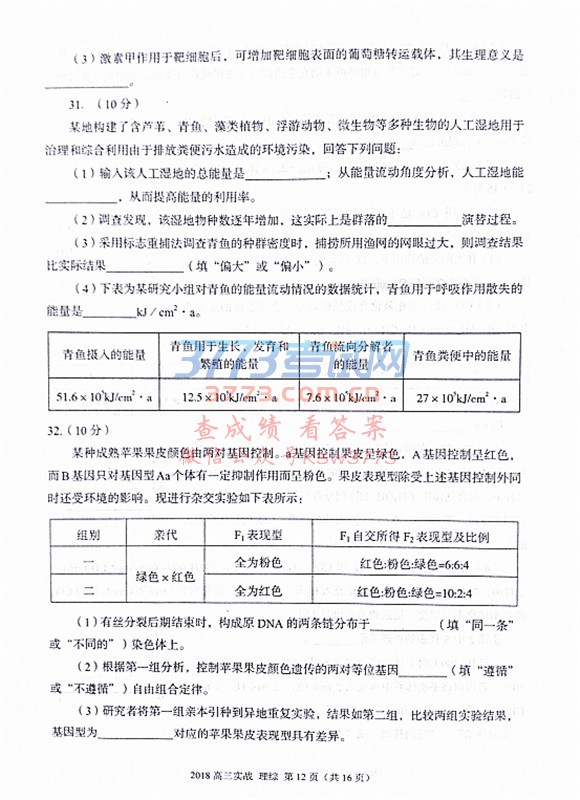 2018ݶ۴2018ʵս