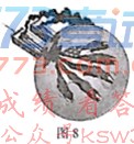 ʮУ2018⼰𰸽