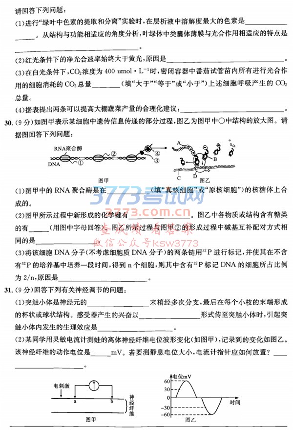 2018ʮУģ۴2018꽭ʮУģ