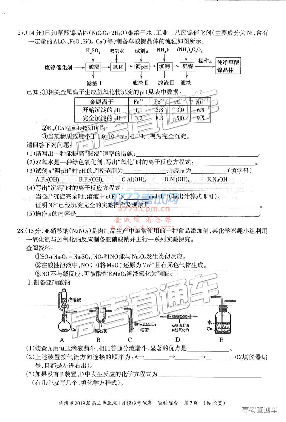 2019ݶģ⼰ο