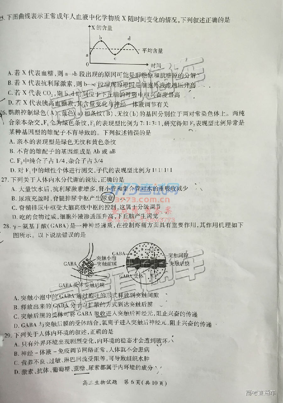 2019Ÿʼ⼰ο