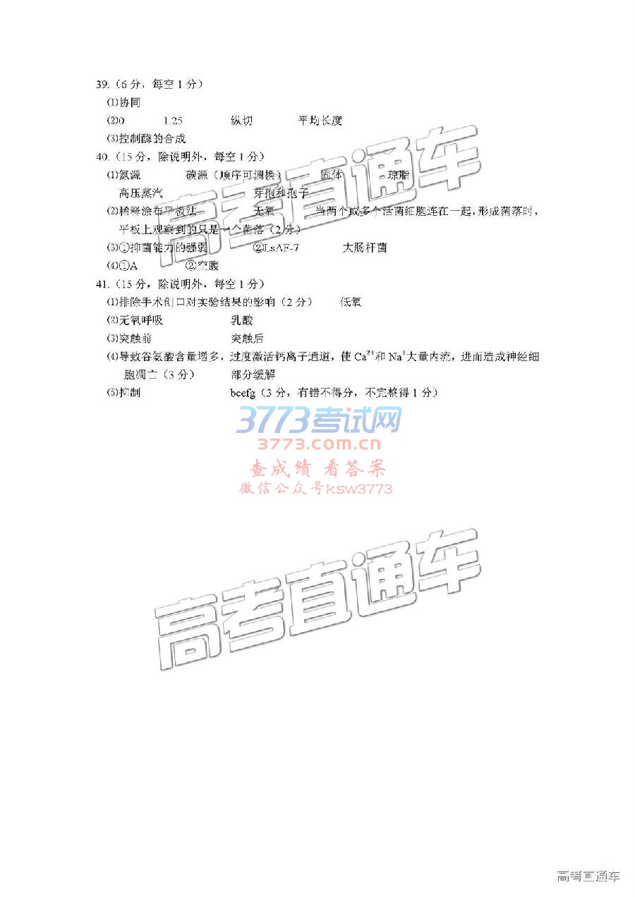 2019Ÿʼ⼰ο