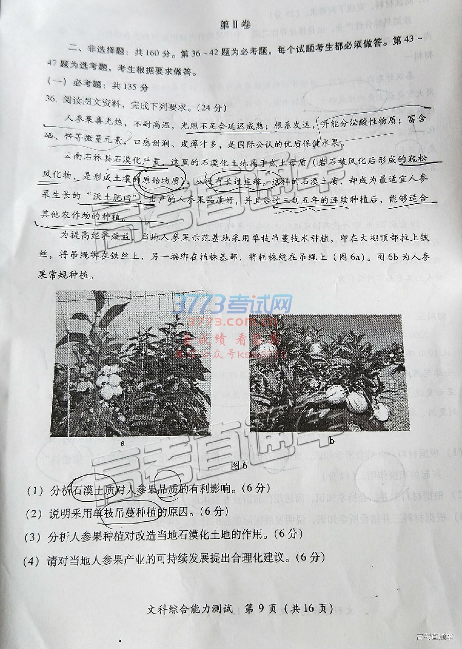 20192ʼ⼰ο𰸣У