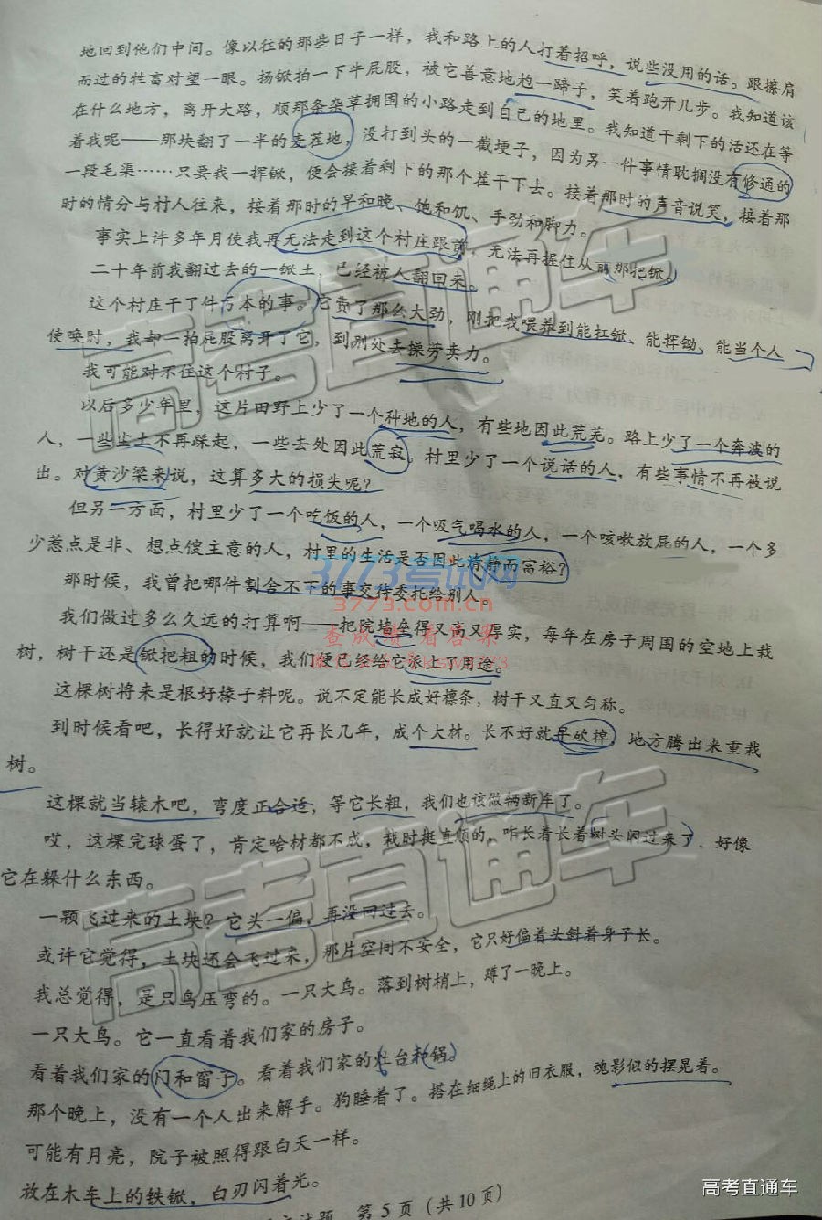 20192ʼ⼰ο𰸣У