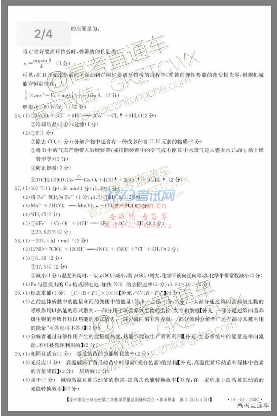 2019ݶ⼰ο