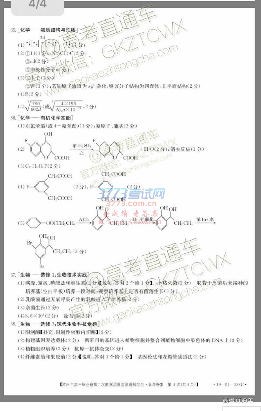 2019ݶ⼰ο