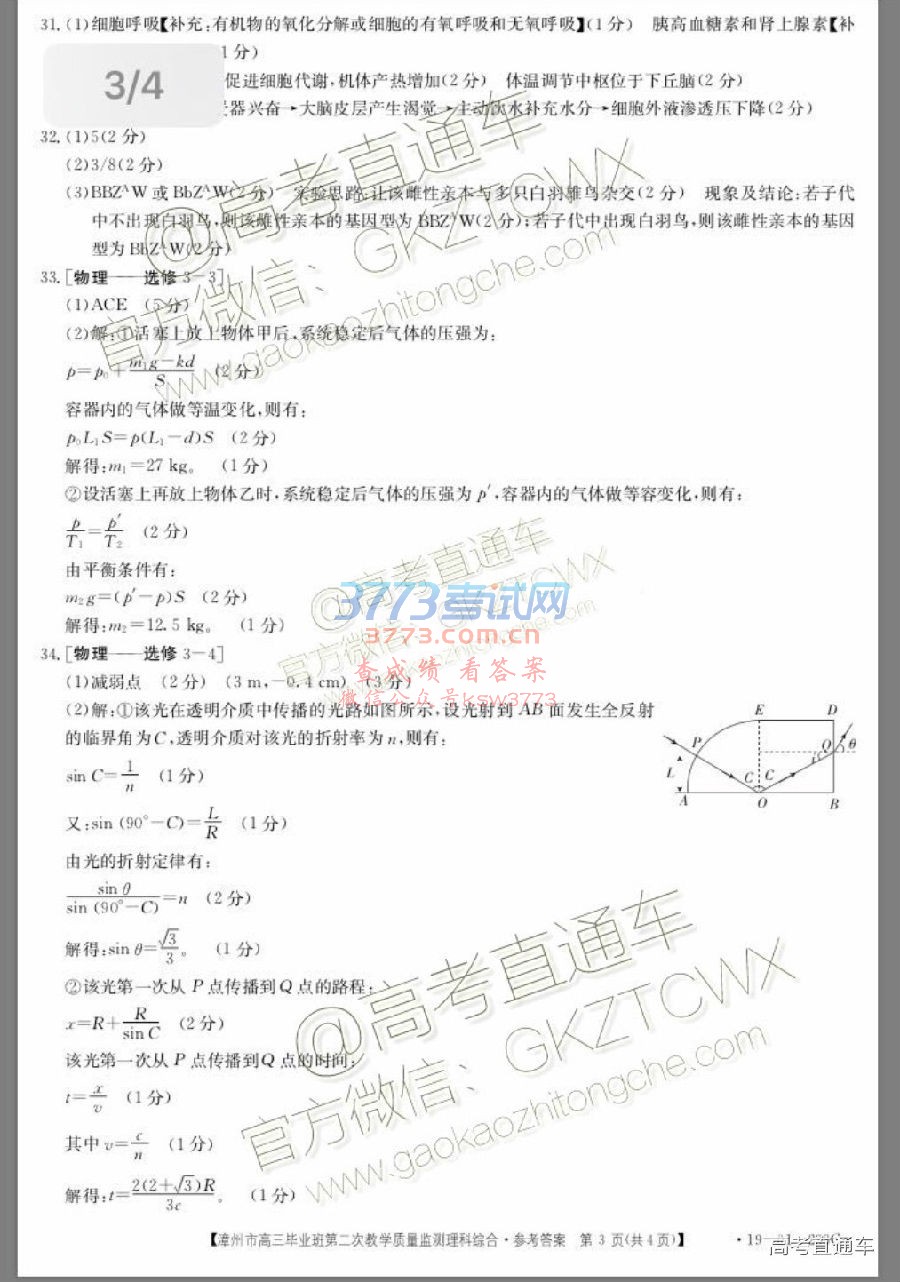 2019ݶ⼰ο