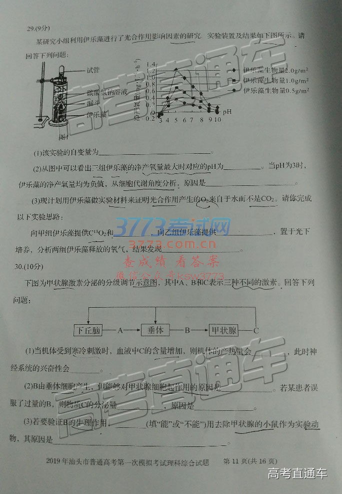20193ͷһģ⼰ο