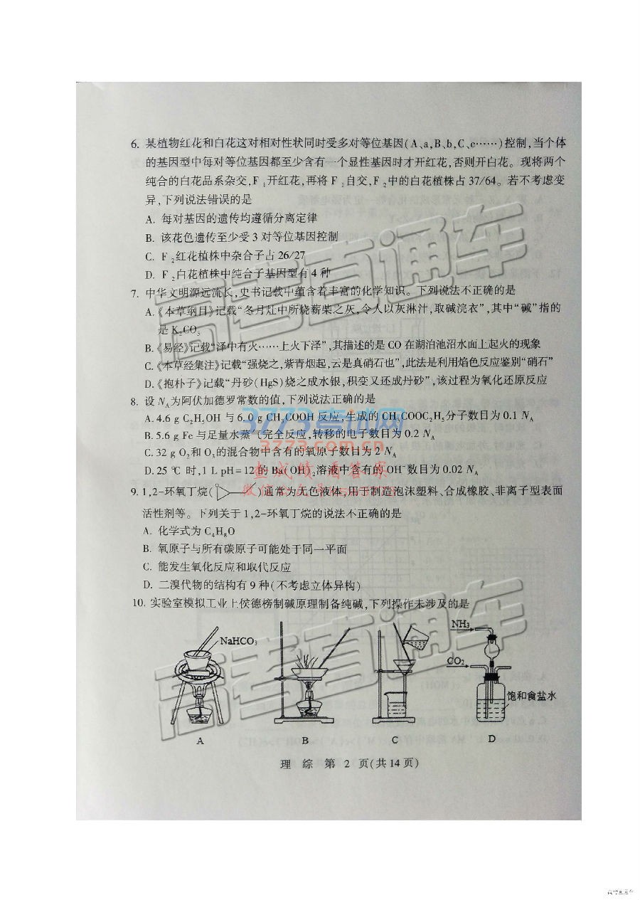 2019ʯׯ3ʼ⼰ο