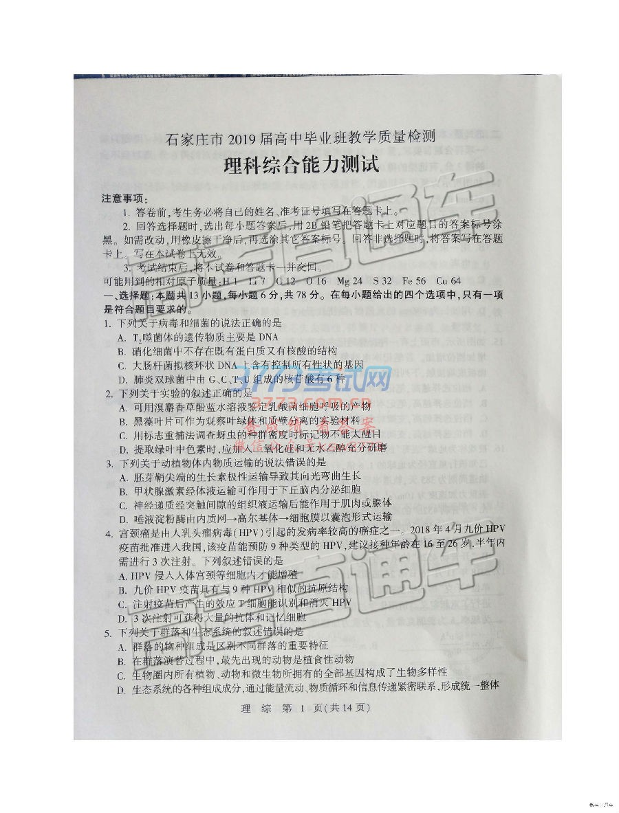 2019ʯׯ3ʼ⼰ο