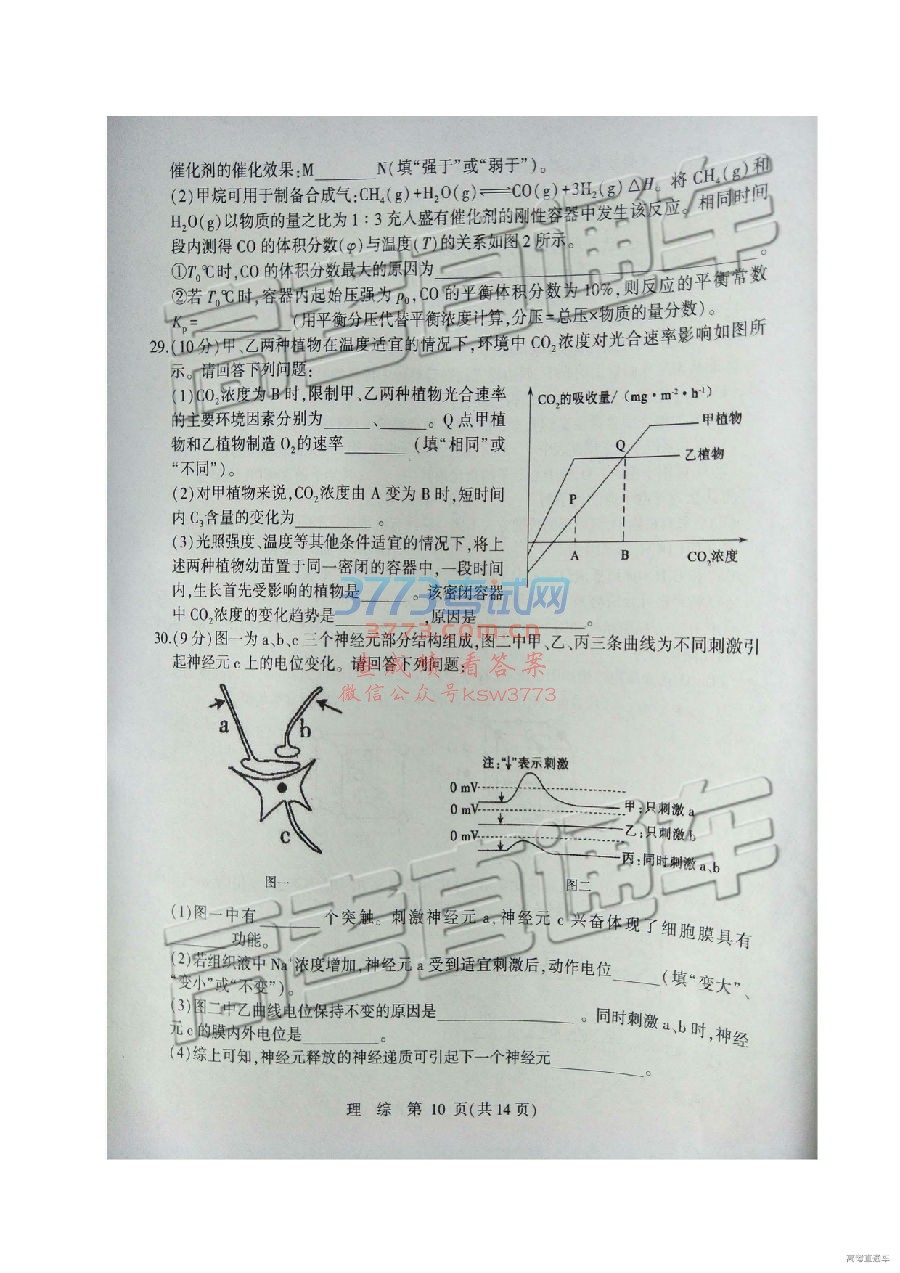 2019ʯׯ3ʼ⼰ο