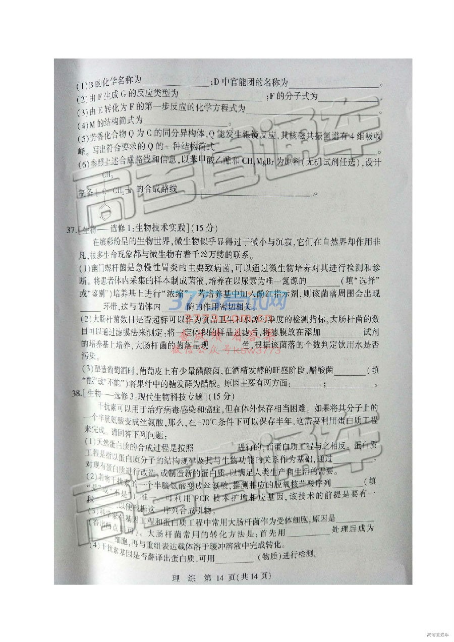 2019ʯׯ3ʼ⼰ο