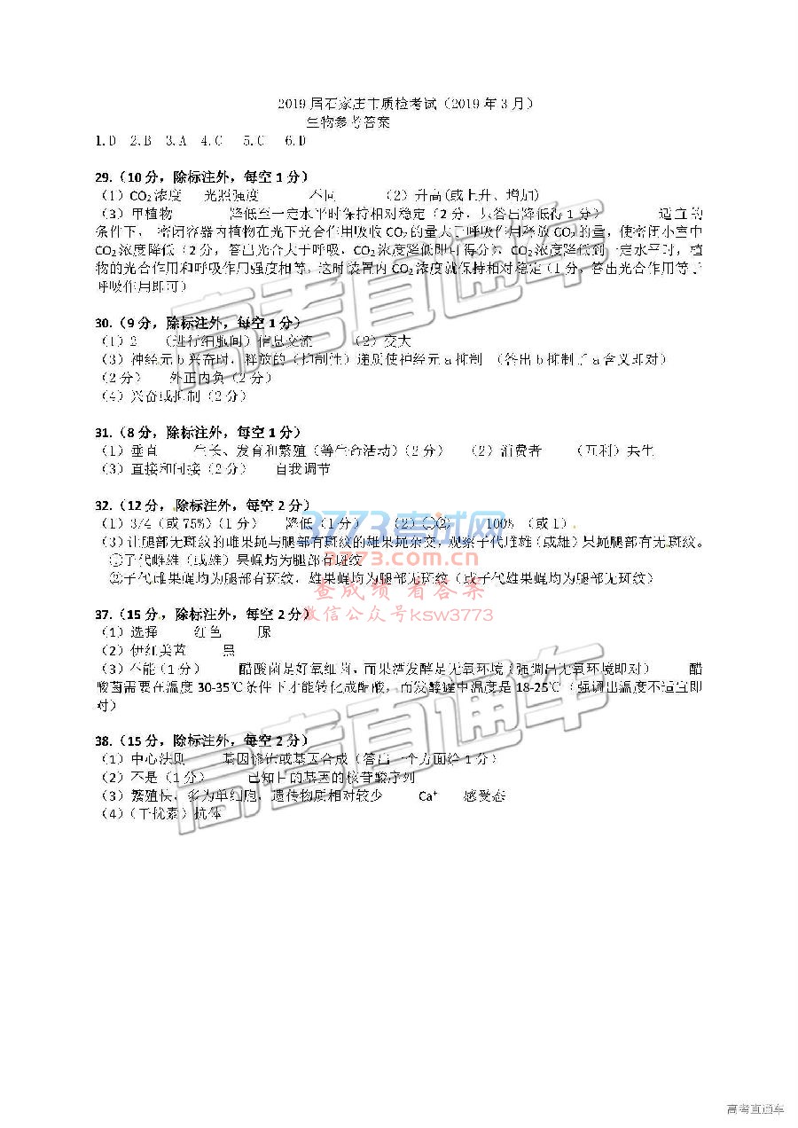 2019ʯׯ3ʼ⼰ο