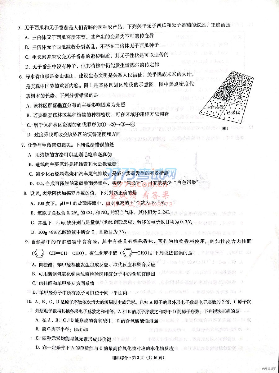 2019ɽͳ⼰ο