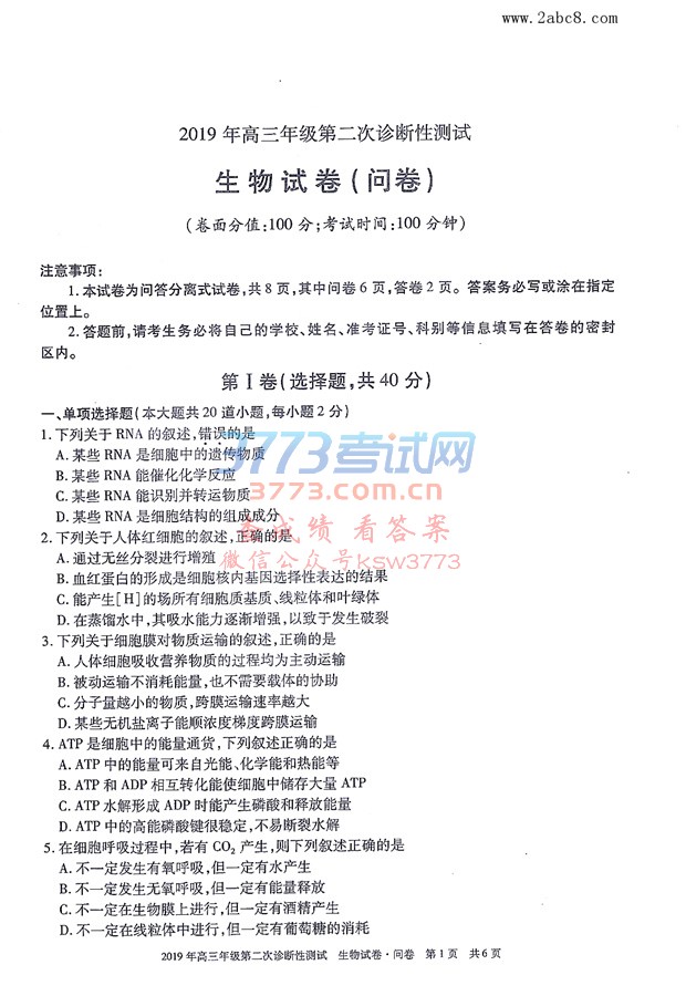 2019½ģ½2019꼶ڶԲԾ