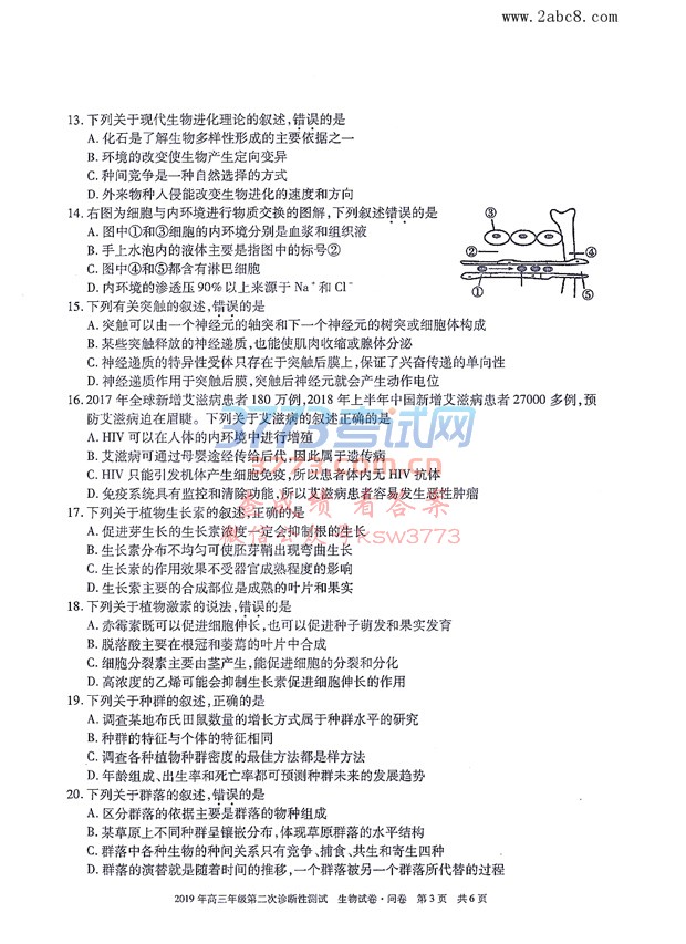 2019½ģ½2019꼶ڶԲԾ