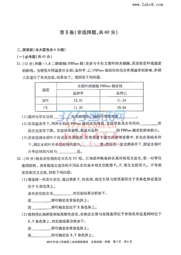 2019½ģ½2019꼶ڶԲԾ