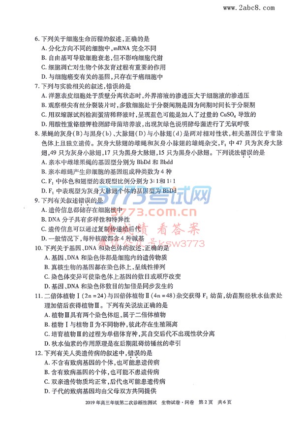 2019½ģ½2019꼶ڶԲԾ