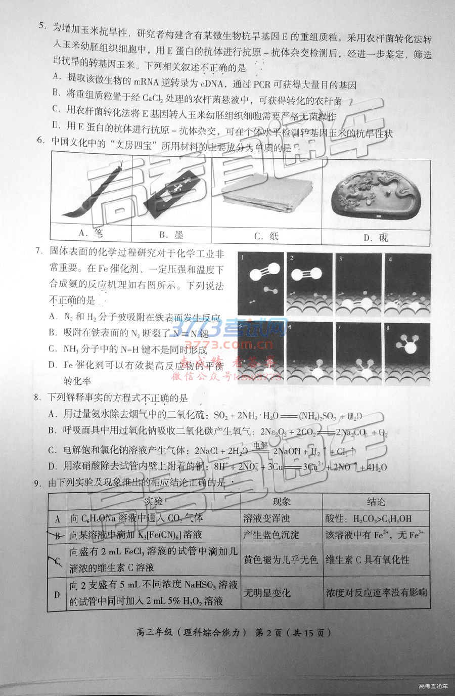 2019˳壩ģ⼰ο
