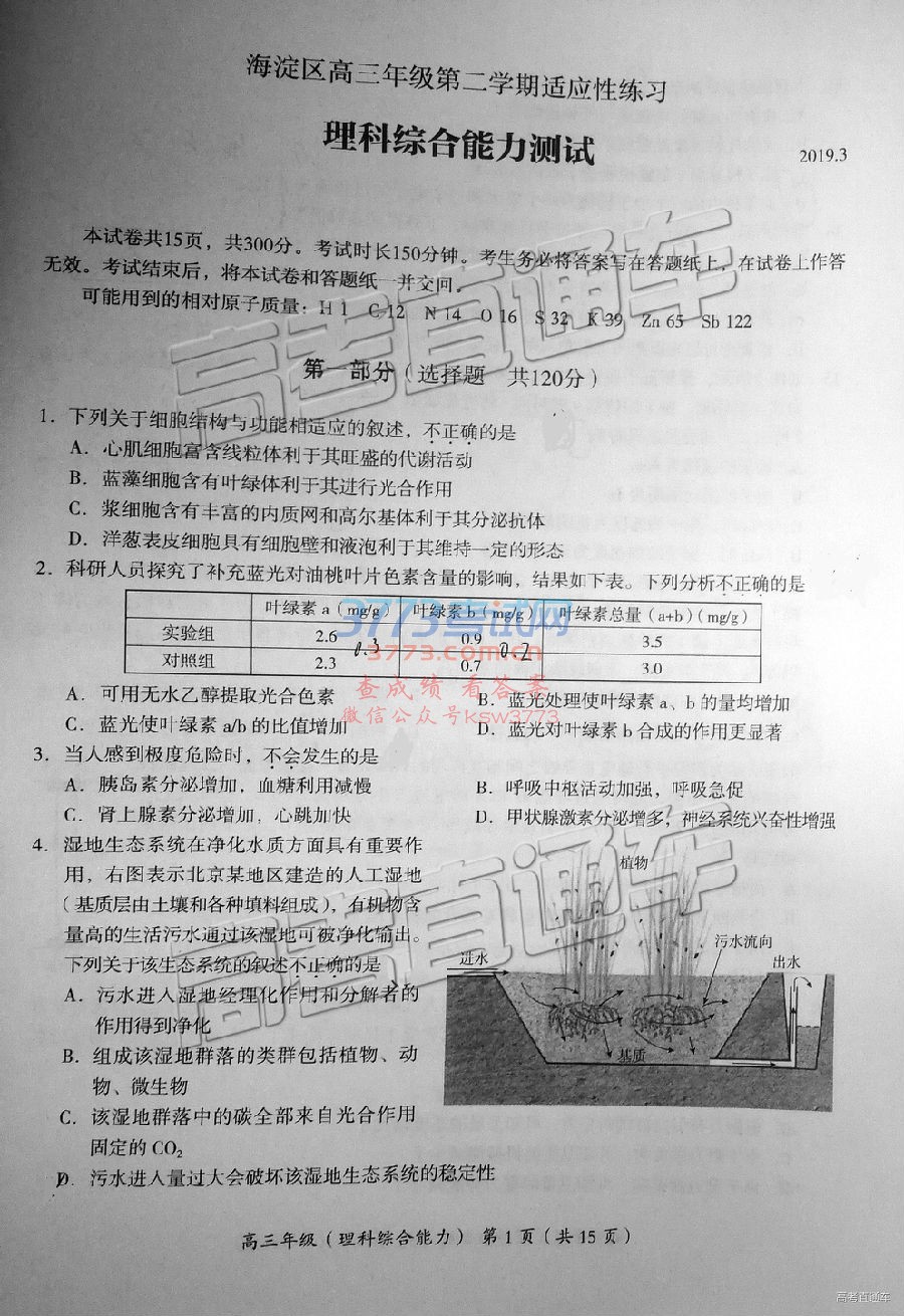 2019˳壩ģ⼰ο