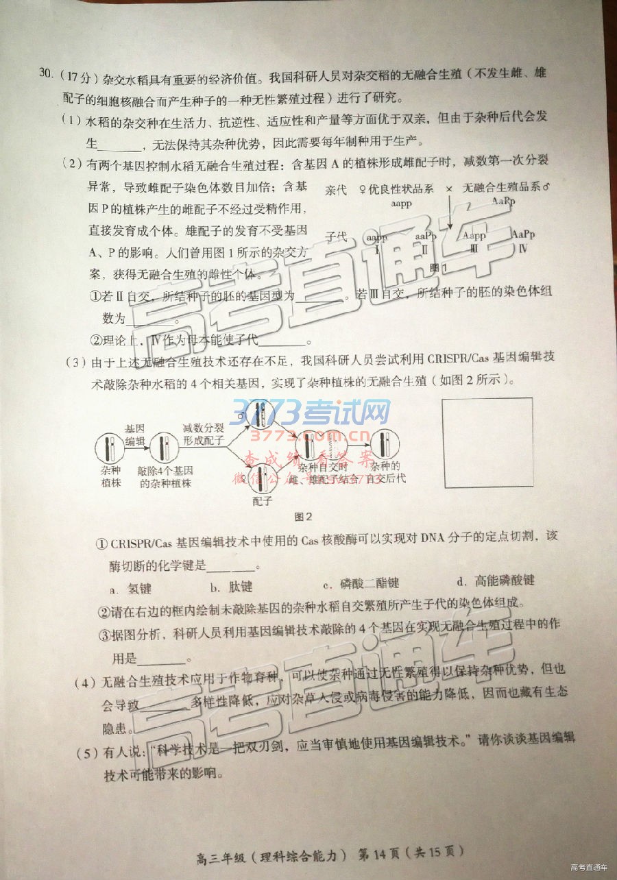 2019˳壩ģ⼰ο