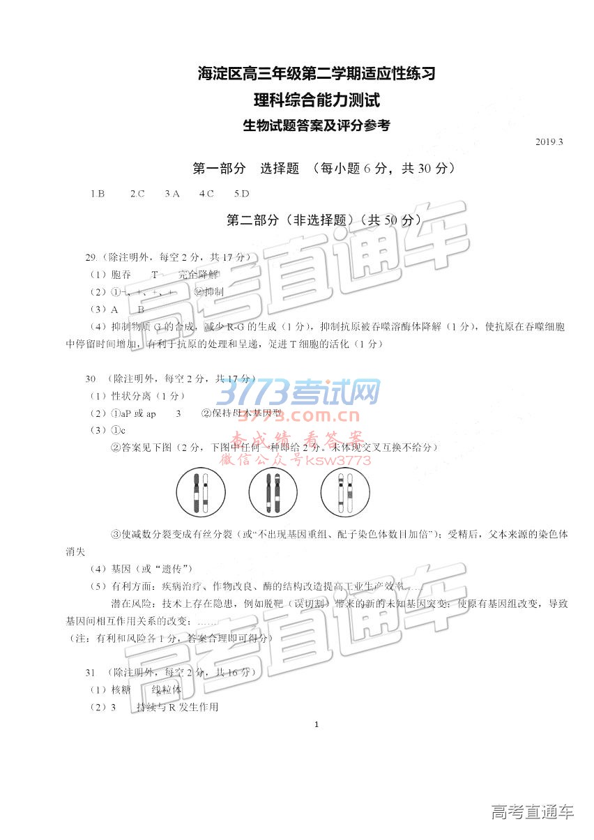 2019˳壩ģ⼰ο