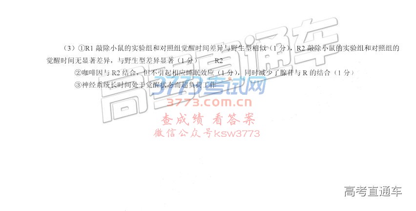 2019˳壩ģ⼰ο