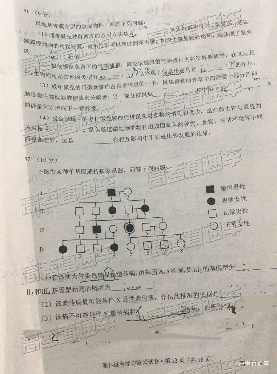 2019ʡͳ⼰ο
